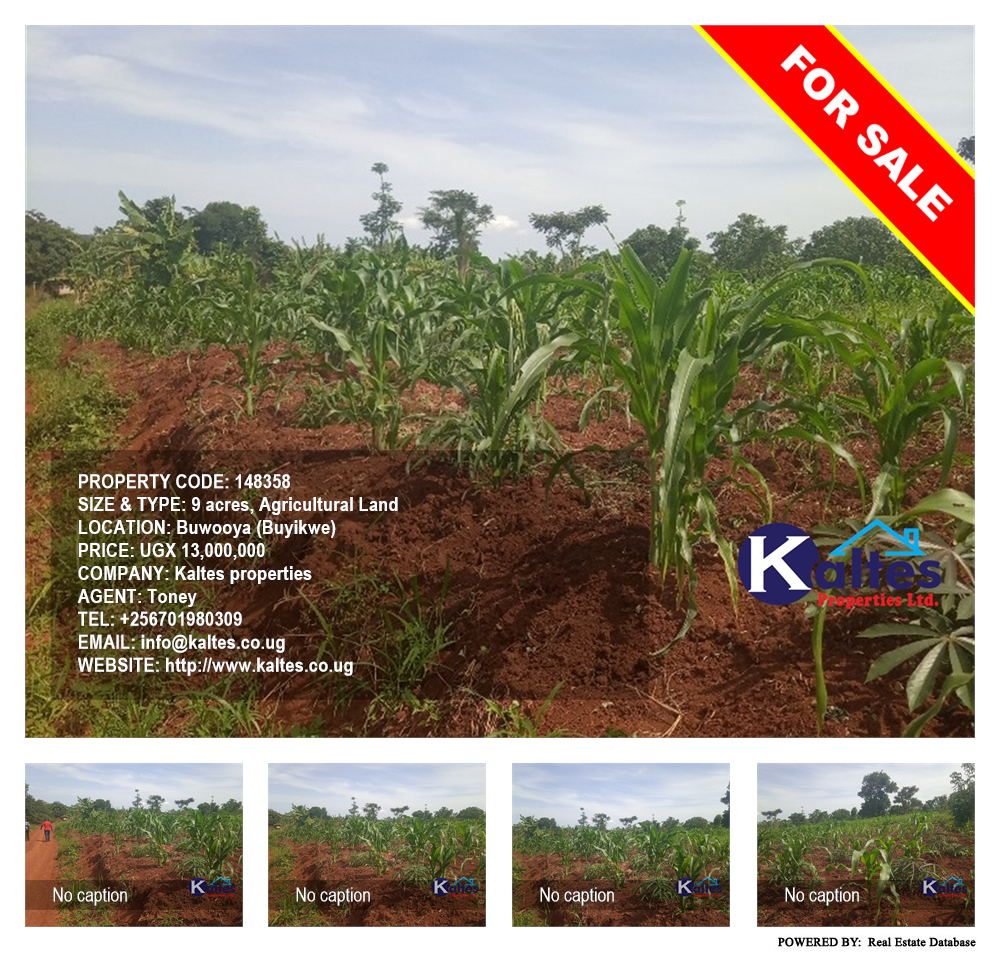 Agricultural Land  for sale in Buwooya Buyikwe Uganda, code: 148358