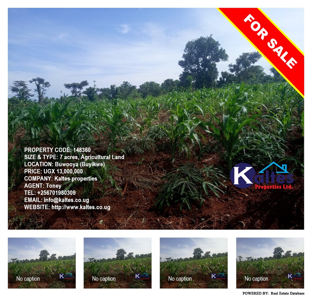 Agricultural Land  for sale in Buwooya Buyikwe Uganda, code: 148360
