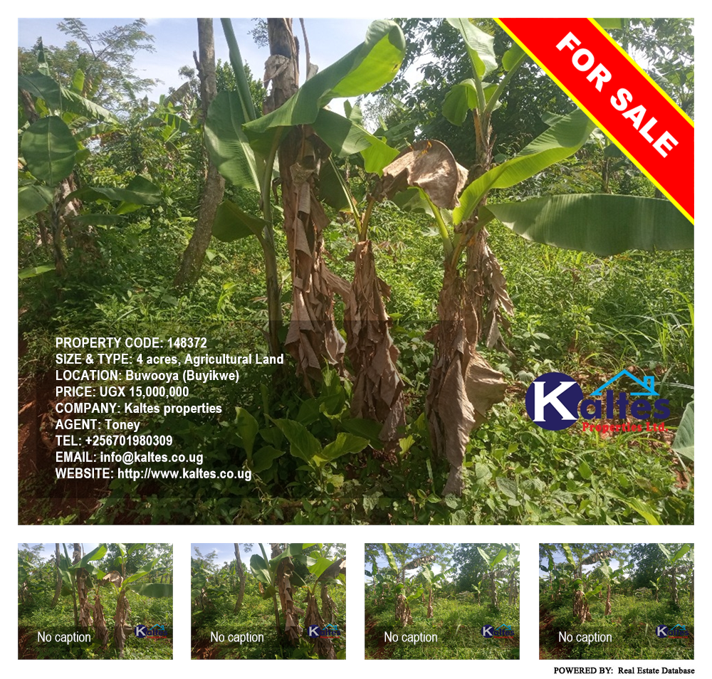 Agricultural Land  for sale in Buwooya Buyikwe Uganda, code: 148372