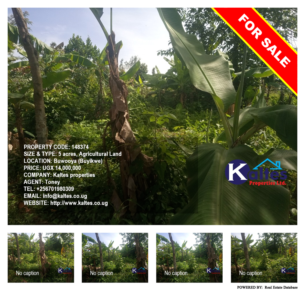 Agricultural Land  for sale in Buwooya Buyikwe Uganda, code: 148374