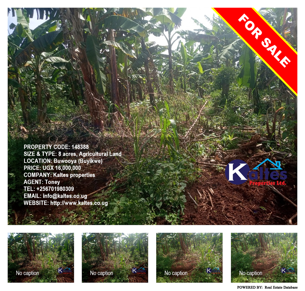 Agricultural Land  for sale in Buwooya Buyikwe Uganda, code: 148388