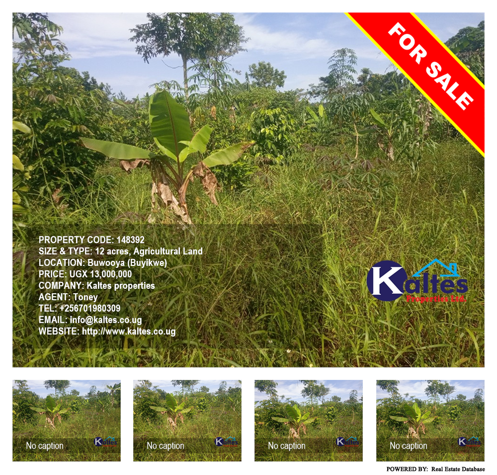Agricultural Land  for sale in Buwooya Buyikwe Uganda, code: 148392