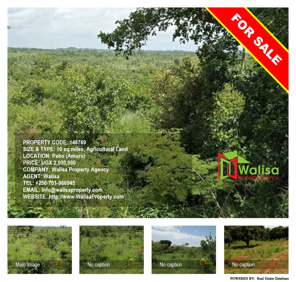 Agricultural Land  for sale in Pabo Amuru Uganda, code: 148769