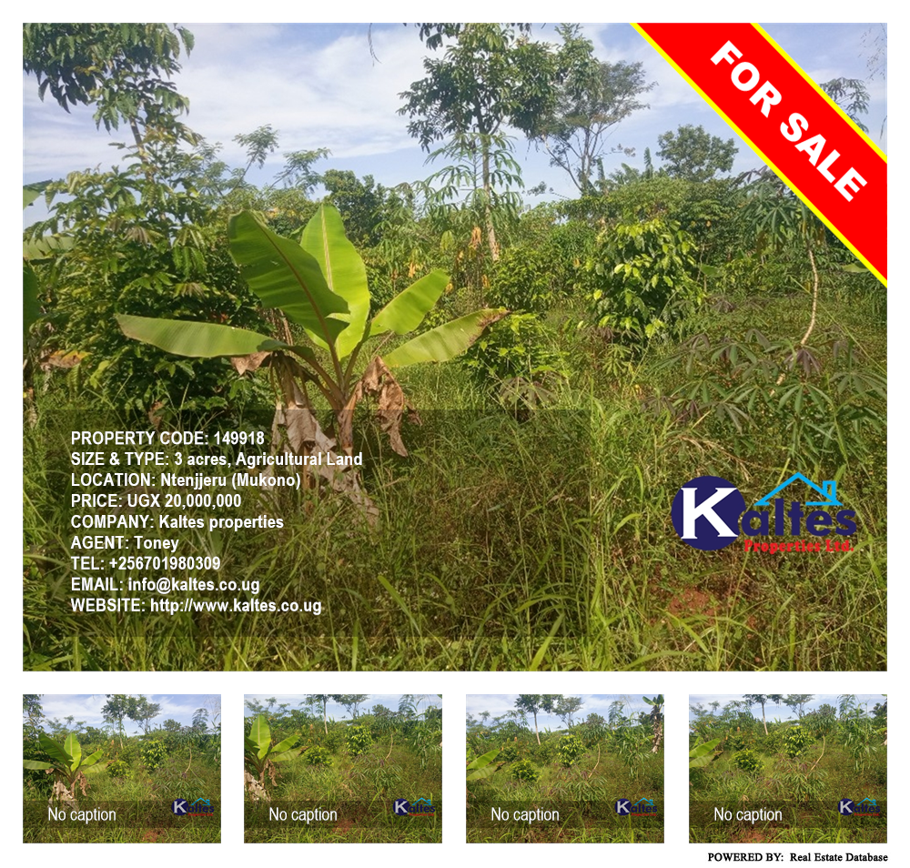 Agricultural Land  for sale in Ntenjjeru Mukono Uganda, code: 149918