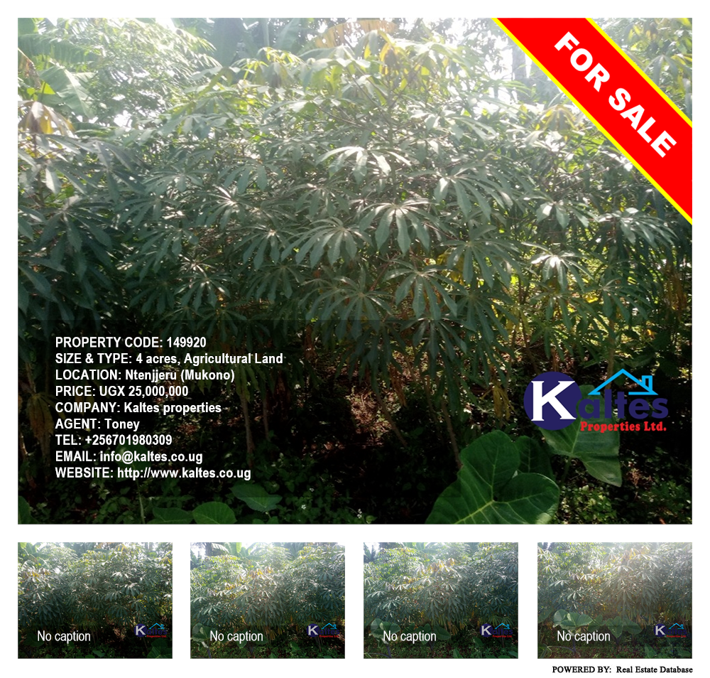 Agricultural Land  for sale in Ntenjjeru Mukono Uganda, code: 149920