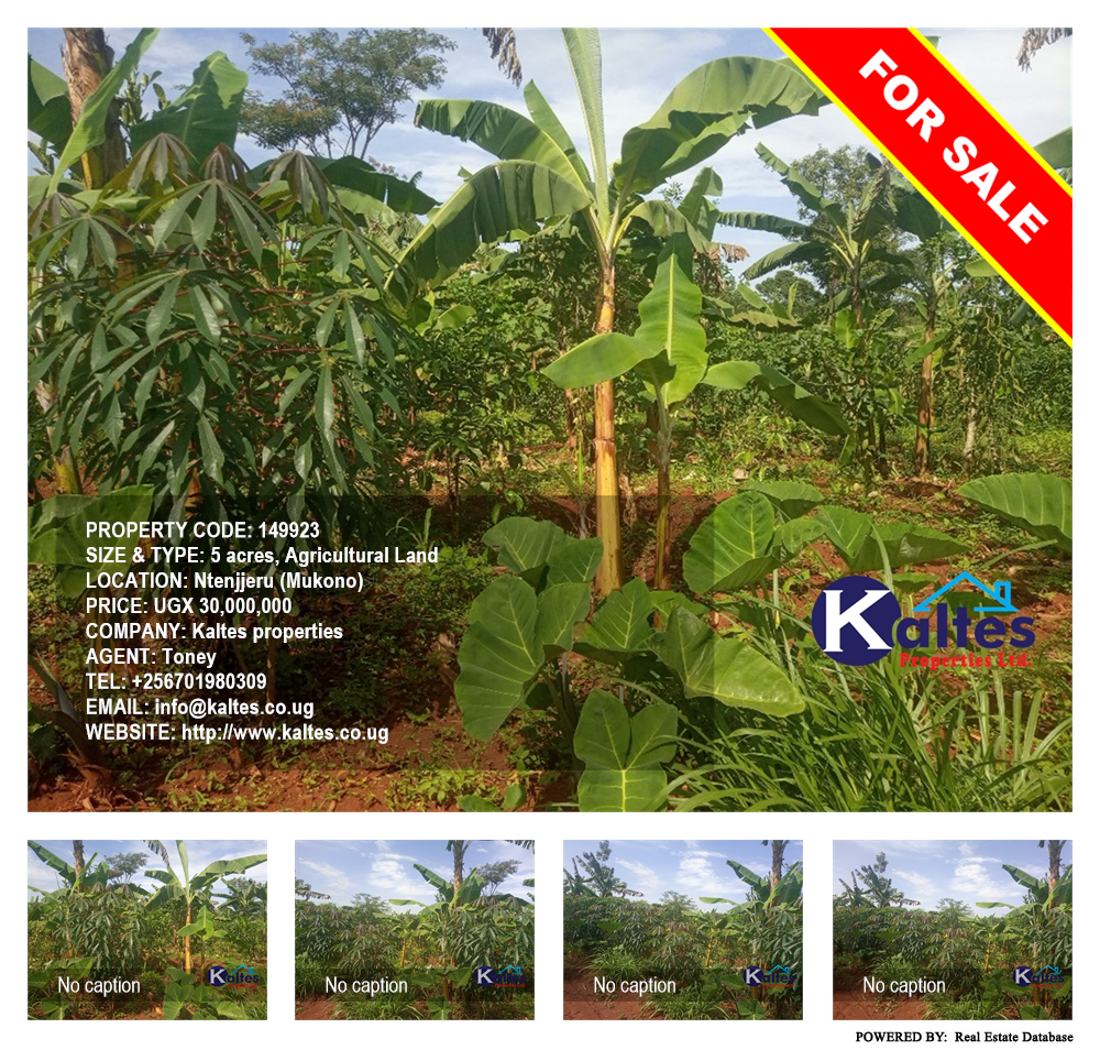 Agricultural Land  for sale in Ntenjjeru Mukono Uganda, code: 149923