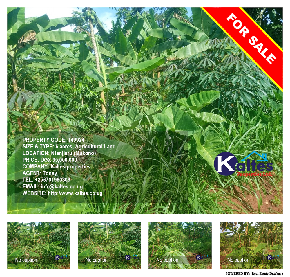 Agricultural Land  for sale in Ntenjjeru Mukono Uganda, code: 149924