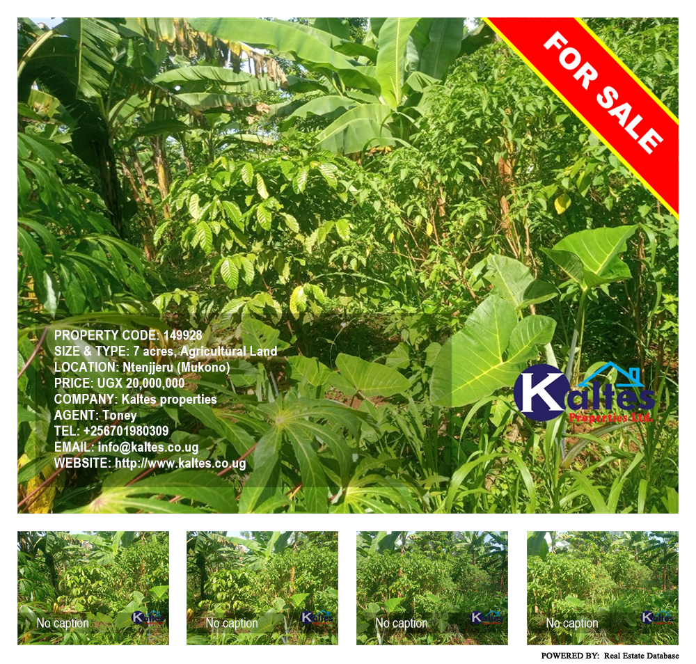 Agricultural Land  for sale in Ntenjjeru Mukono Uganda, code: 149928