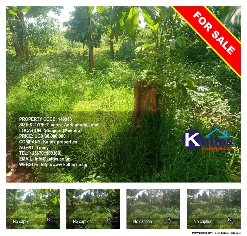 Agricultural Land  for sale in Ntenjjeru Mukono Uganda, code: 149933