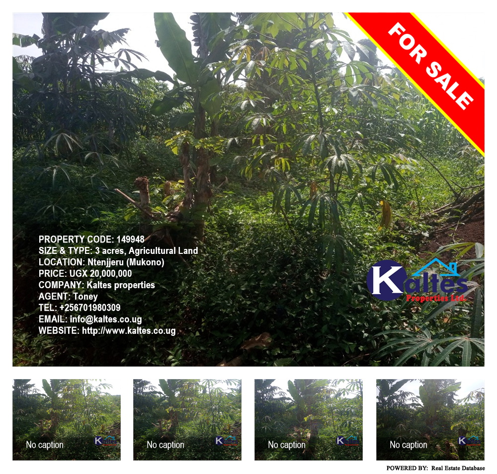 Agricultural Land  for sale in Ntenjjeru Mukono Uganda, code: 149948