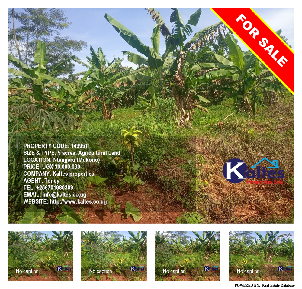 Agricultural Land  for sale in Ntenjjeru Mukono Uganda, code: 149951