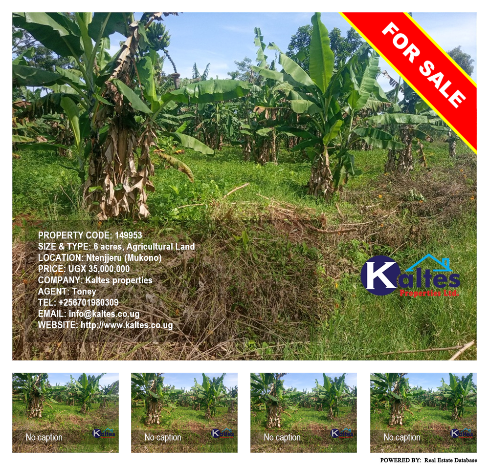Agricultural Land  for sale in Ntenjjeru Mukono Uganda, code: 149953