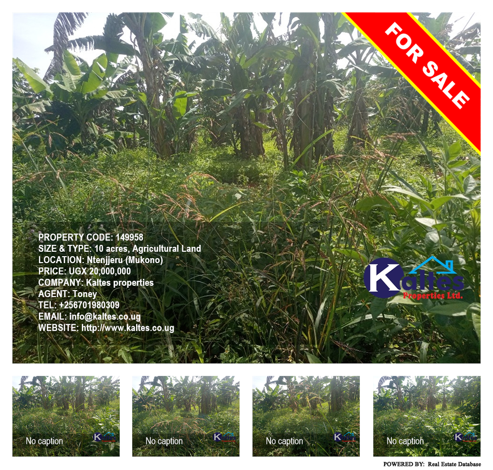 Agricultural Land  for sale in Ntenjjeru Mukono Uganda, code: 149958