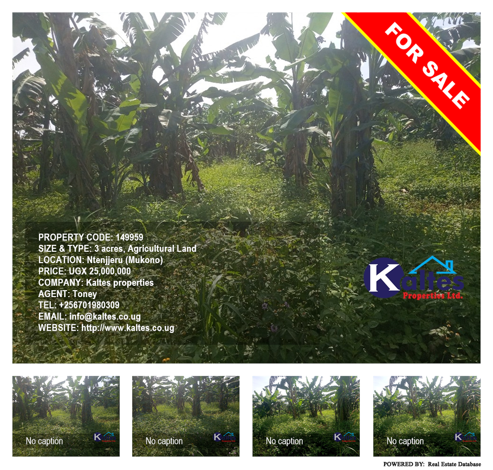 Agricultural Land  for sale in Ntenjjeru Mukono Uganda, code: 149959
