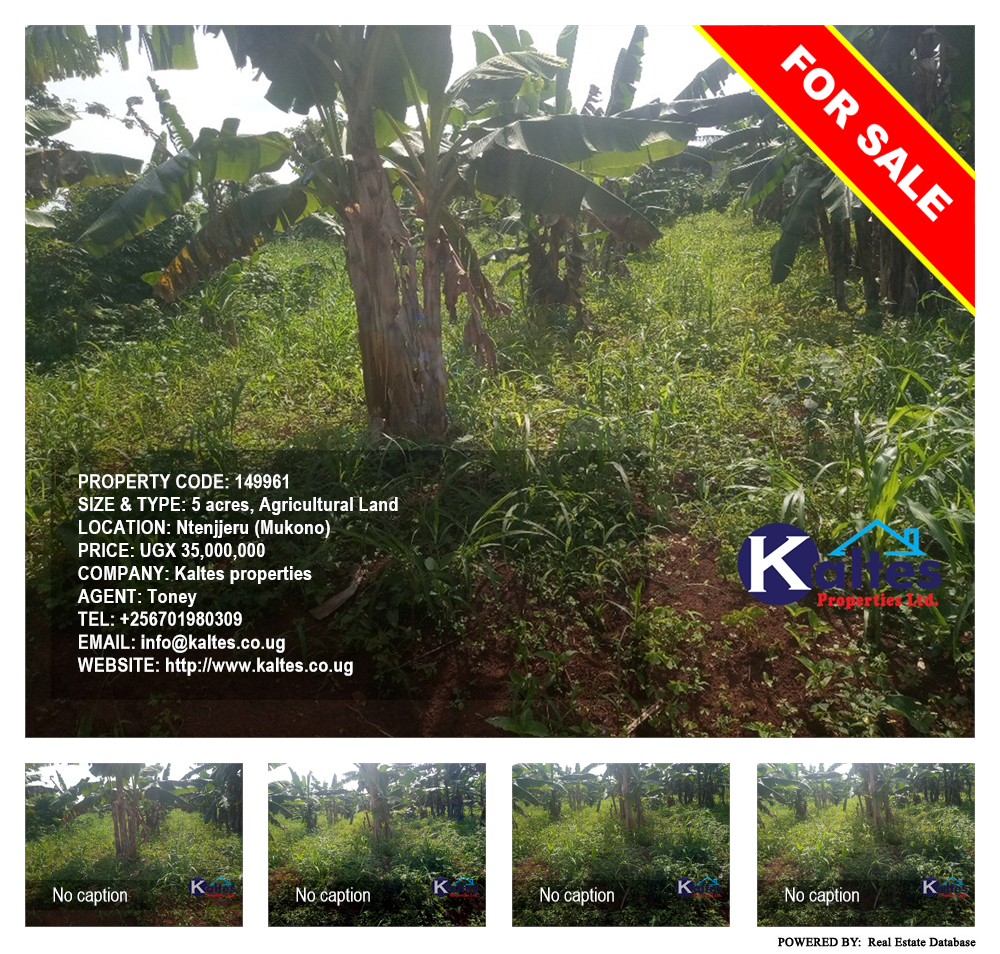 Agricultural Land  for sale in Ntenjjeru Mukono Uganda, code: 149961