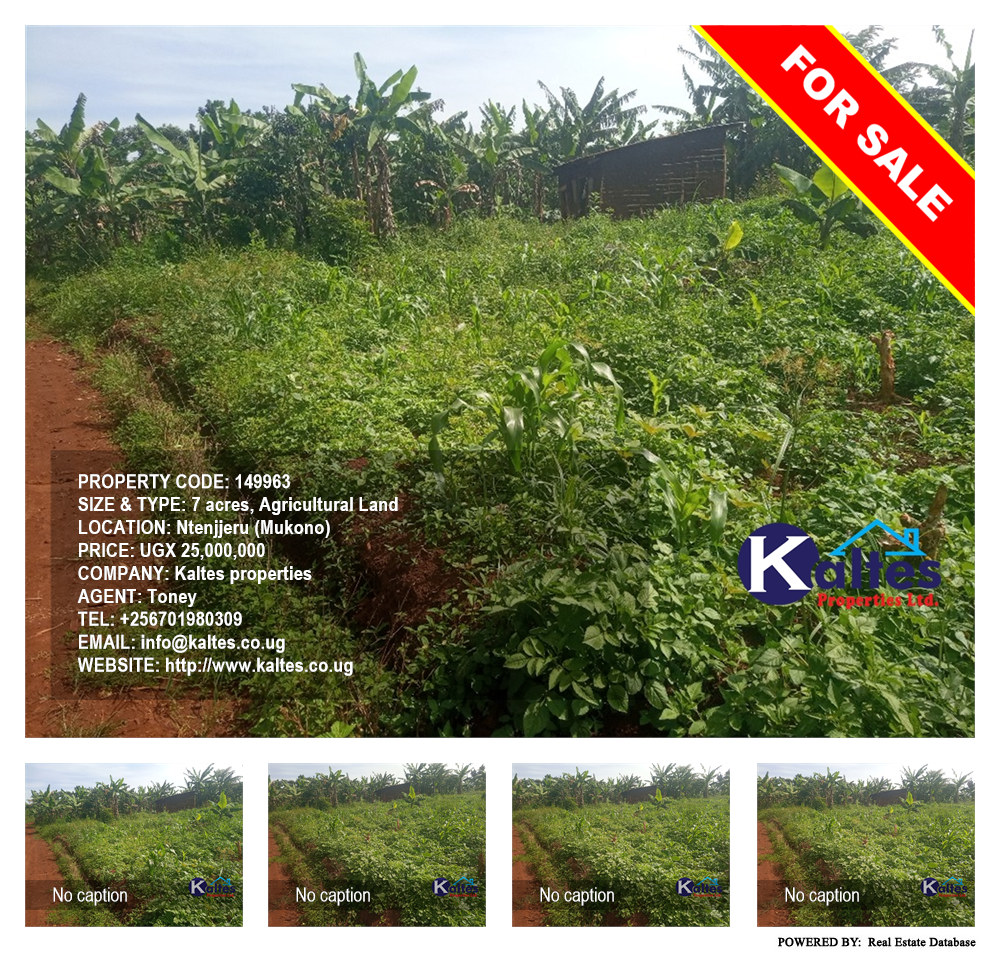 Agricultural Land  for sale in Ntenjjeru Mukono Uganda, code: 149963