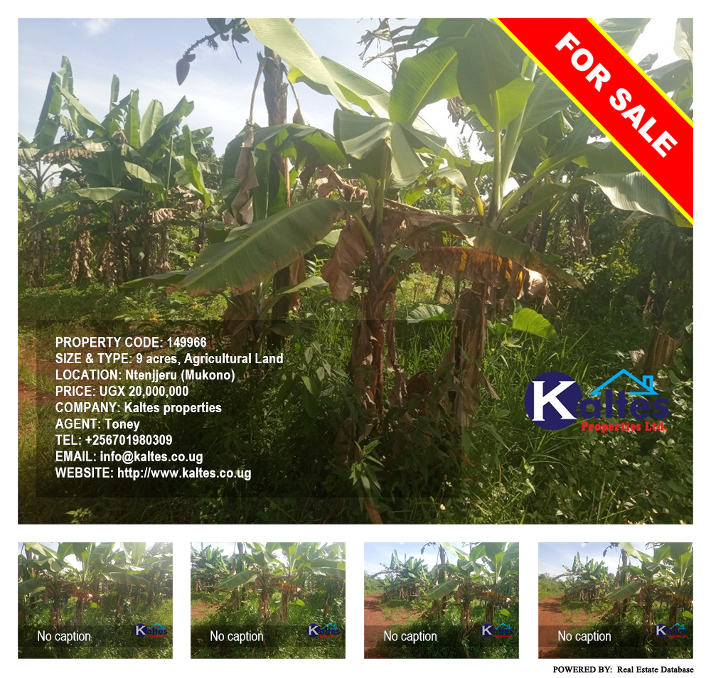 Agricultural Land  for sale in Ntenjjeru Mukono Uganda, code: 149966