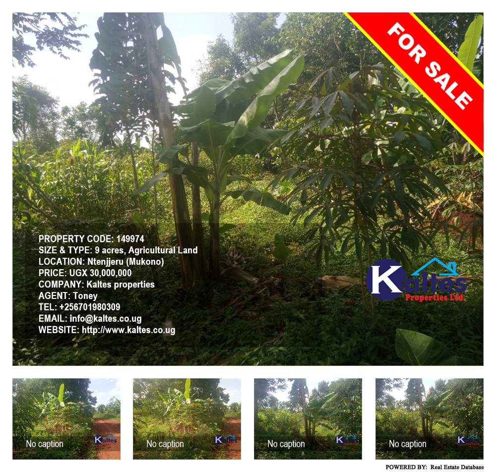 Agricultural Land  for sale in Ntenjjeru Mukono Uganda, code: 149974