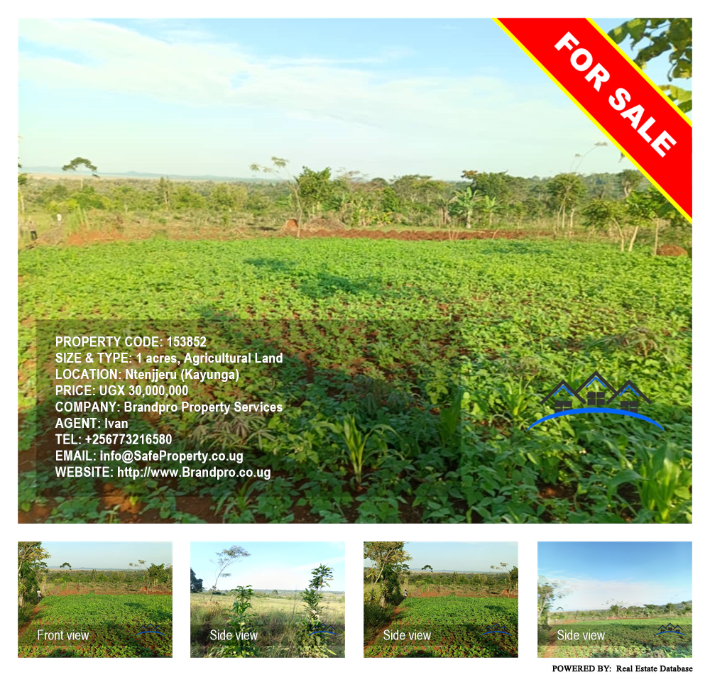 Agricultural Land  for sale in Ntenjjeru Kayunga Uganda, code: 153852