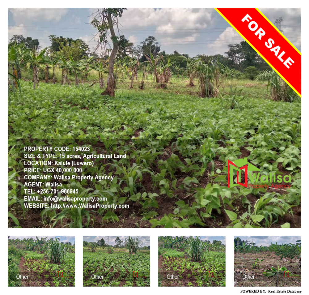 Agricultural Land  for sale in Kalule Luweero Uganda, code: 154023