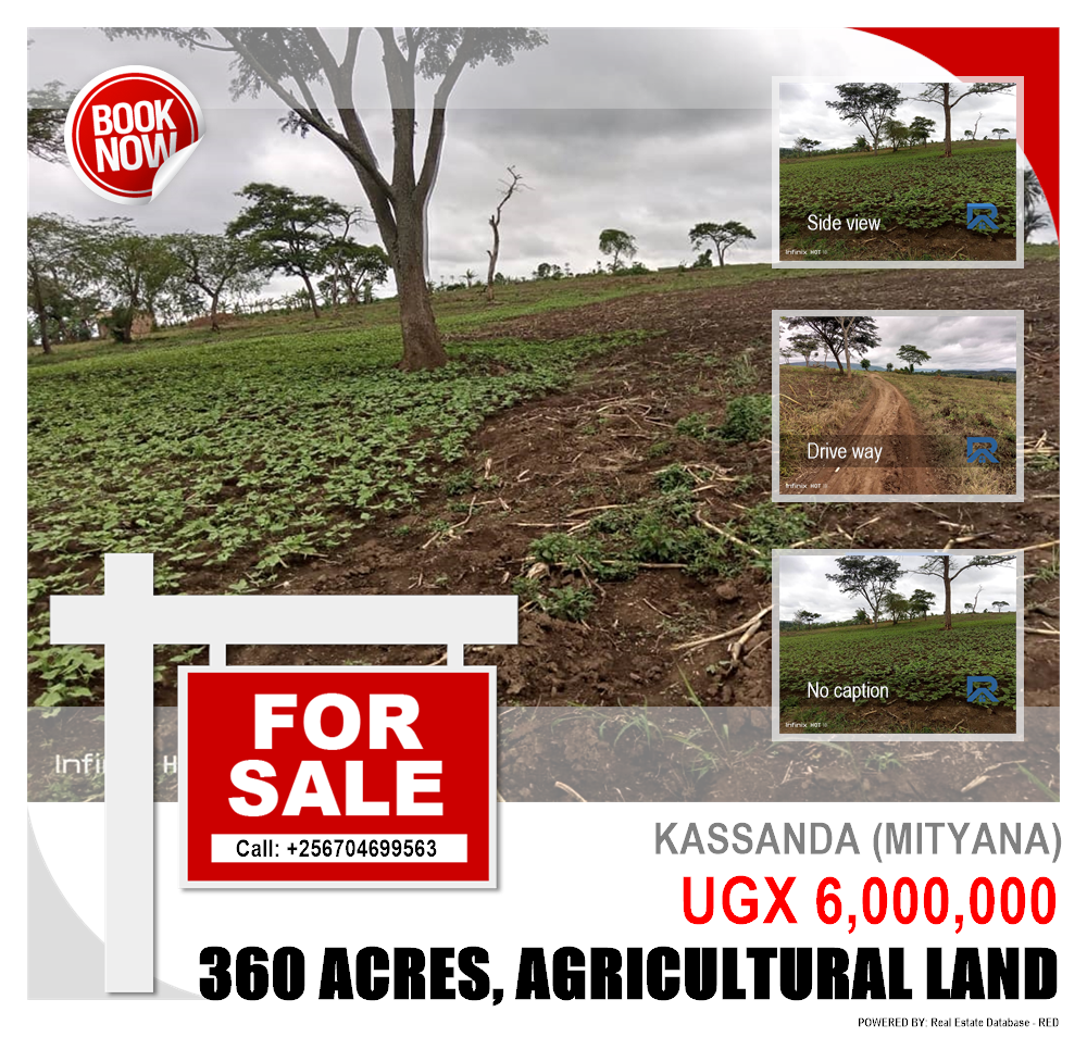 Agricultural Land  for sale in Kassanda Mityana Uganda, code: 154361