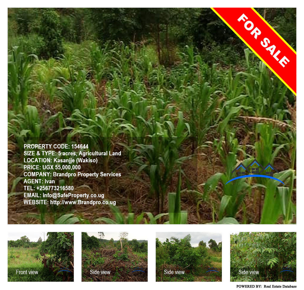 Agricultural Land  for sale in Kasanjje Wakiso Uganda, code: 154644