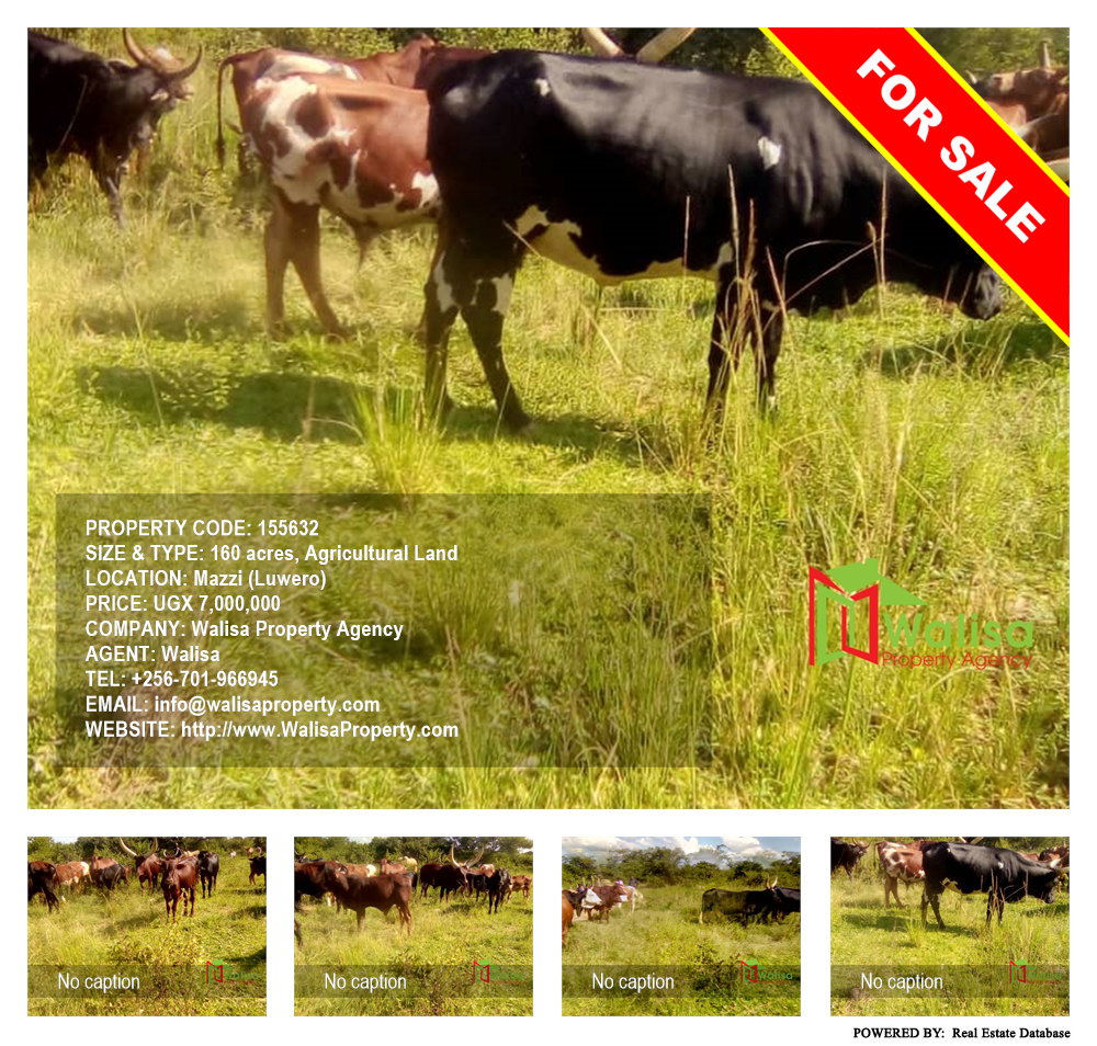 Agricultural Land  for sale in Mazzi Luweero Uganda, code: 155632