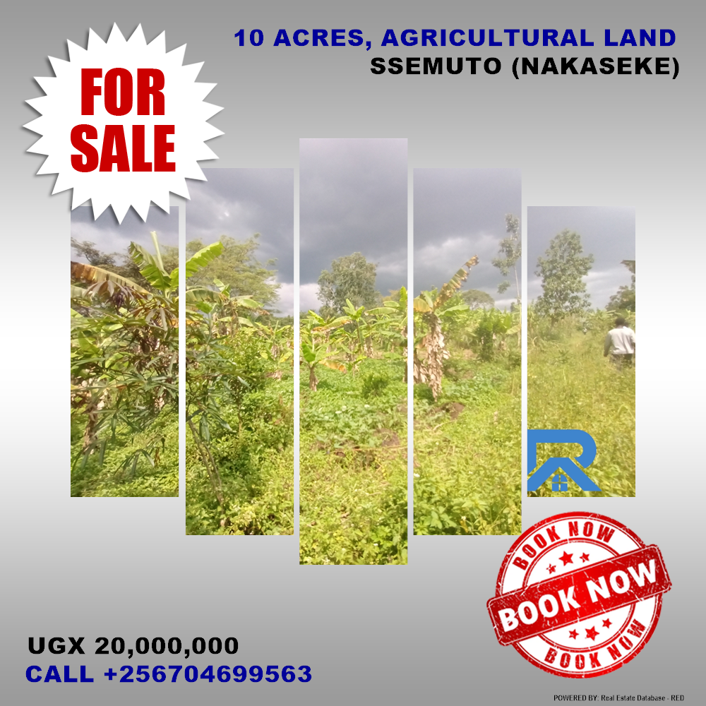 Agricultural Land  for sale in Ssemuto Nakaseke Uganda, code: 156253