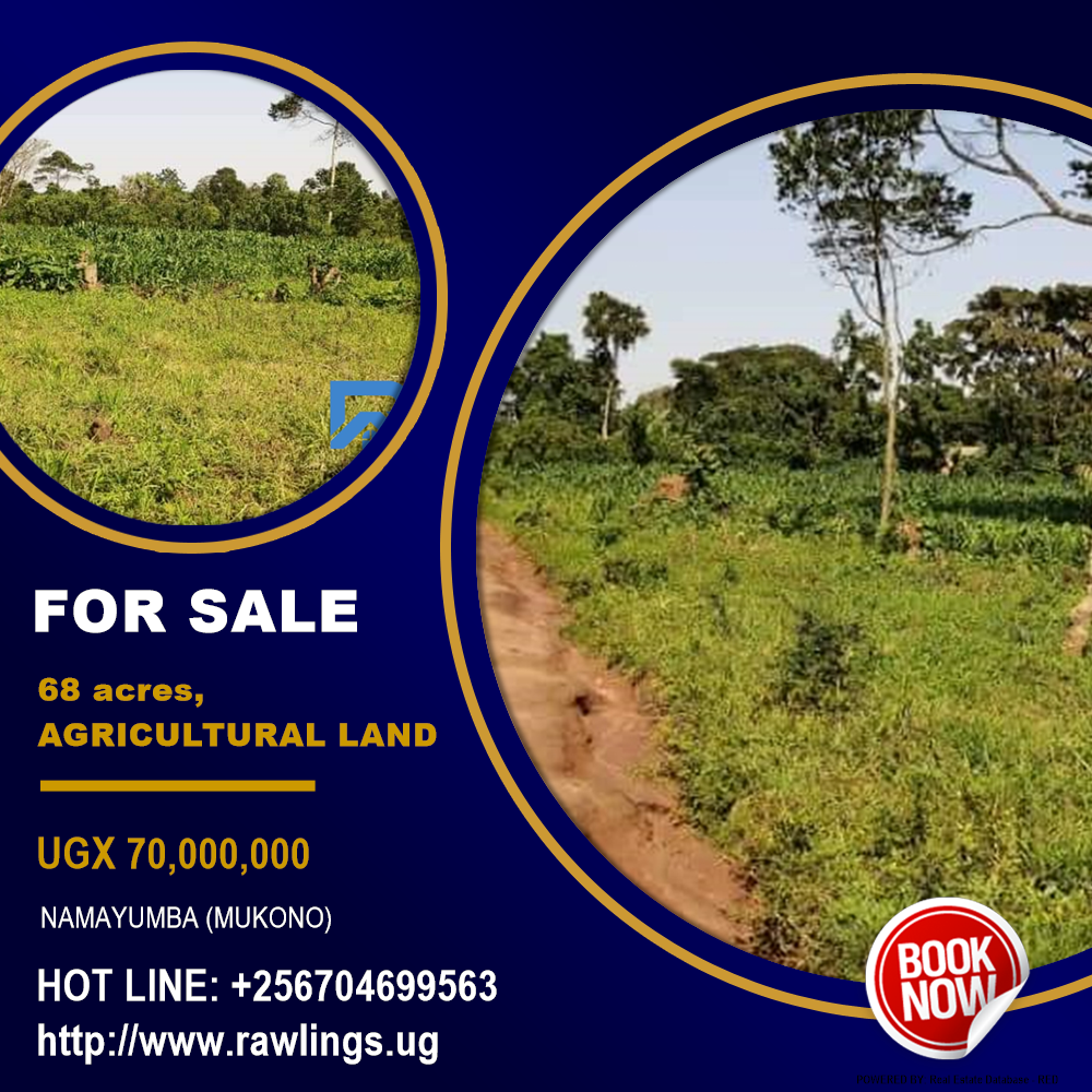 Agricultural Land  for sale in Namayumba Mukono Uganda, code: 158045