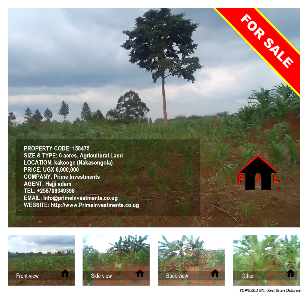 Agricultural Land  for sale in Kakooge Nakasongola Uganda, code: 158475