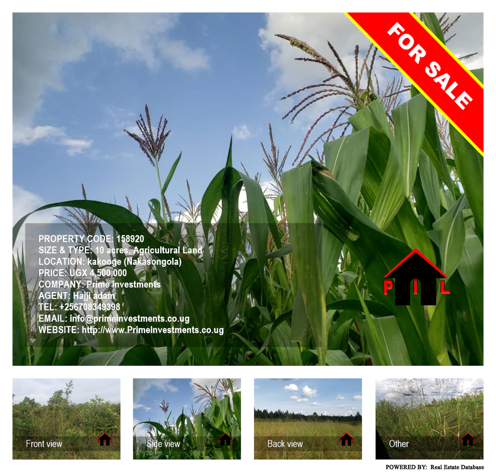 Agricultural Land  for sale in Kakooge Nakasongola Uganda, code: 158920
