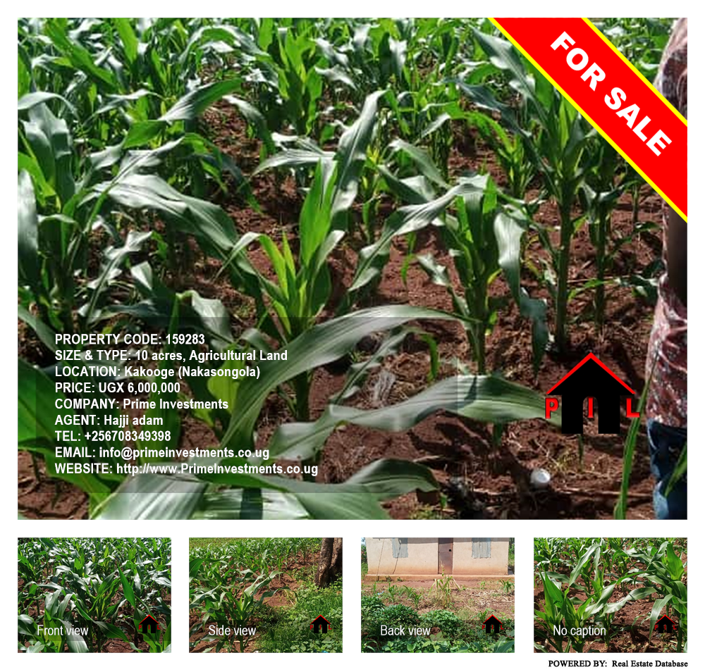 Agricultural Land  for sale in Kakooge Nakasongola Uganda, code: 159283