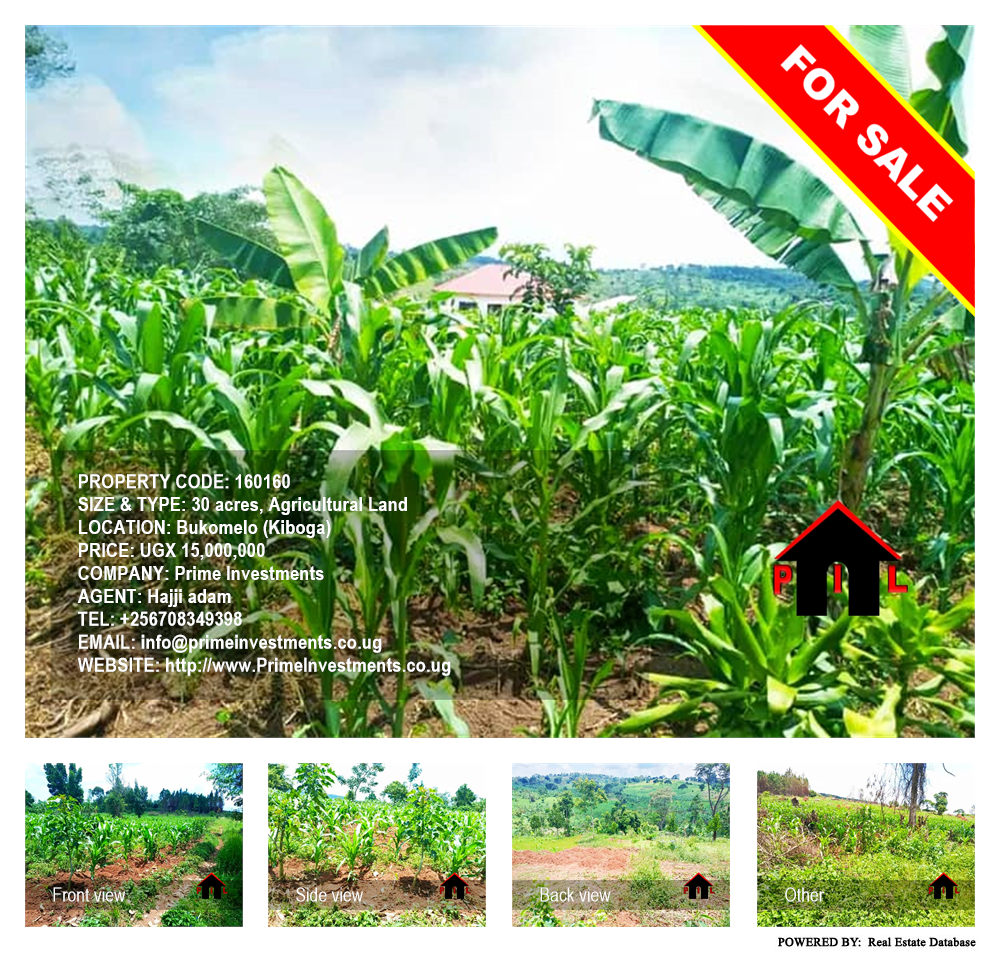 Agricultural Land  for sale in Bukomelo Kiboga Uganda, code: 160160