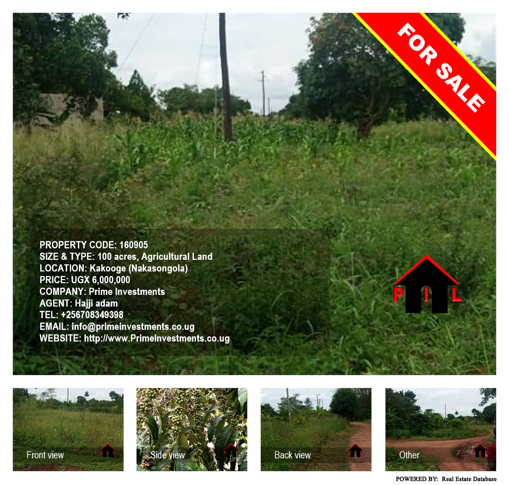 Agricultural Land  for sale in Kakooge Nakasongola Uganda, code: 160905