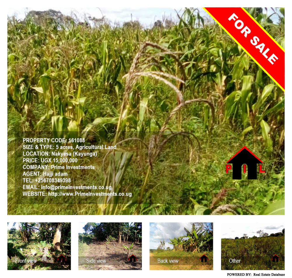 Agricultural Land  for sale in Nakyesa Kayunga Uganda, code: 161088