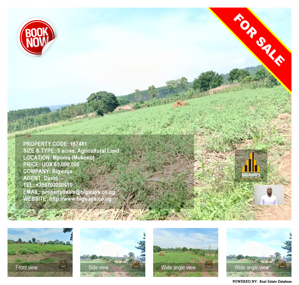 Agricultural Land  for sale in Mpoma Mukono Uganda, code: 167481