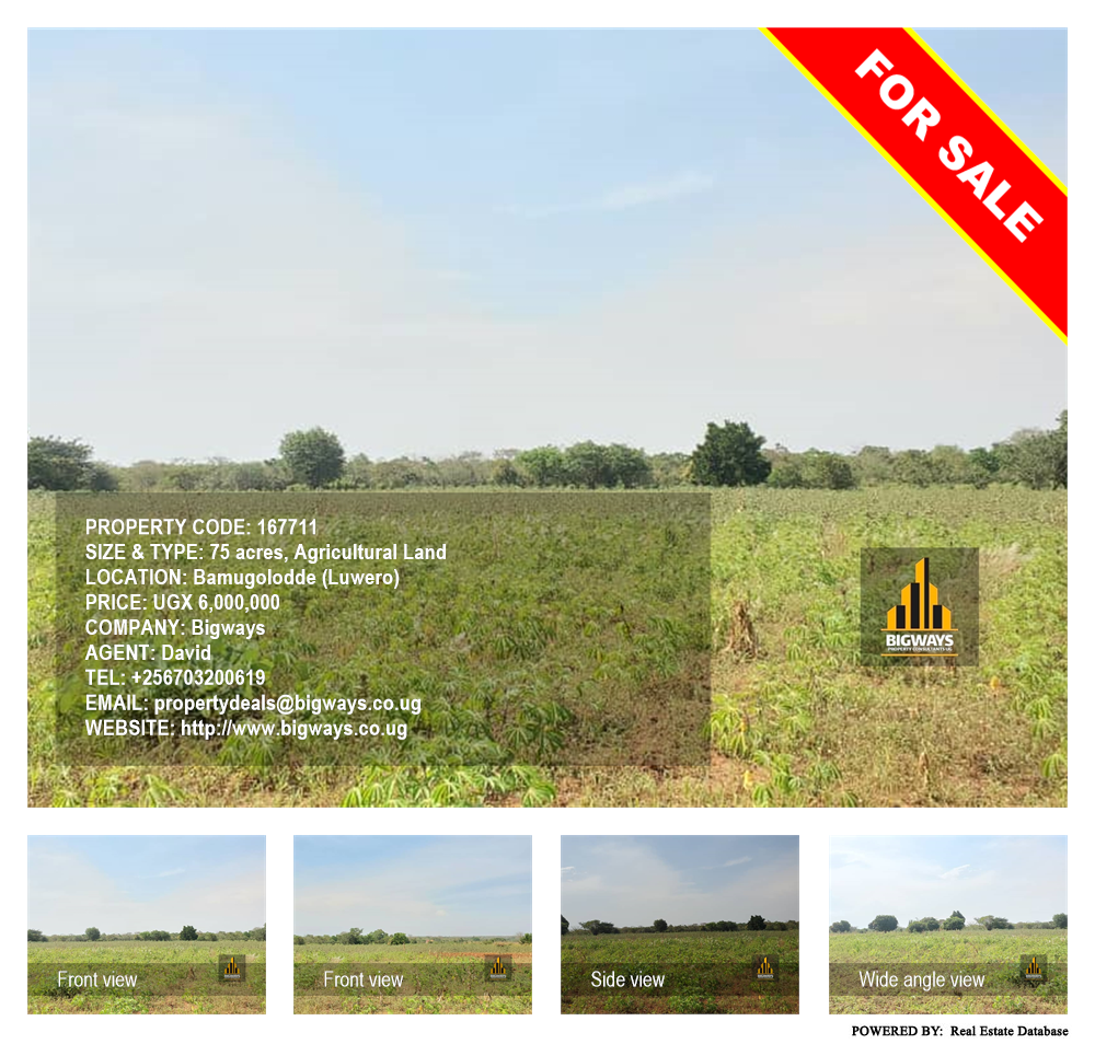 Agricultural Land  for sale in Bamugolodde Luweero Uganda, code: 167711