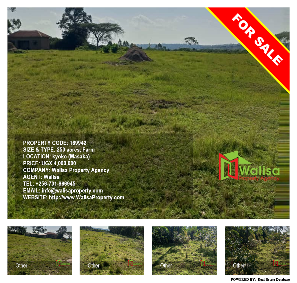 Farm  for sale in Kyoko Masaka Uganda, code: 169942