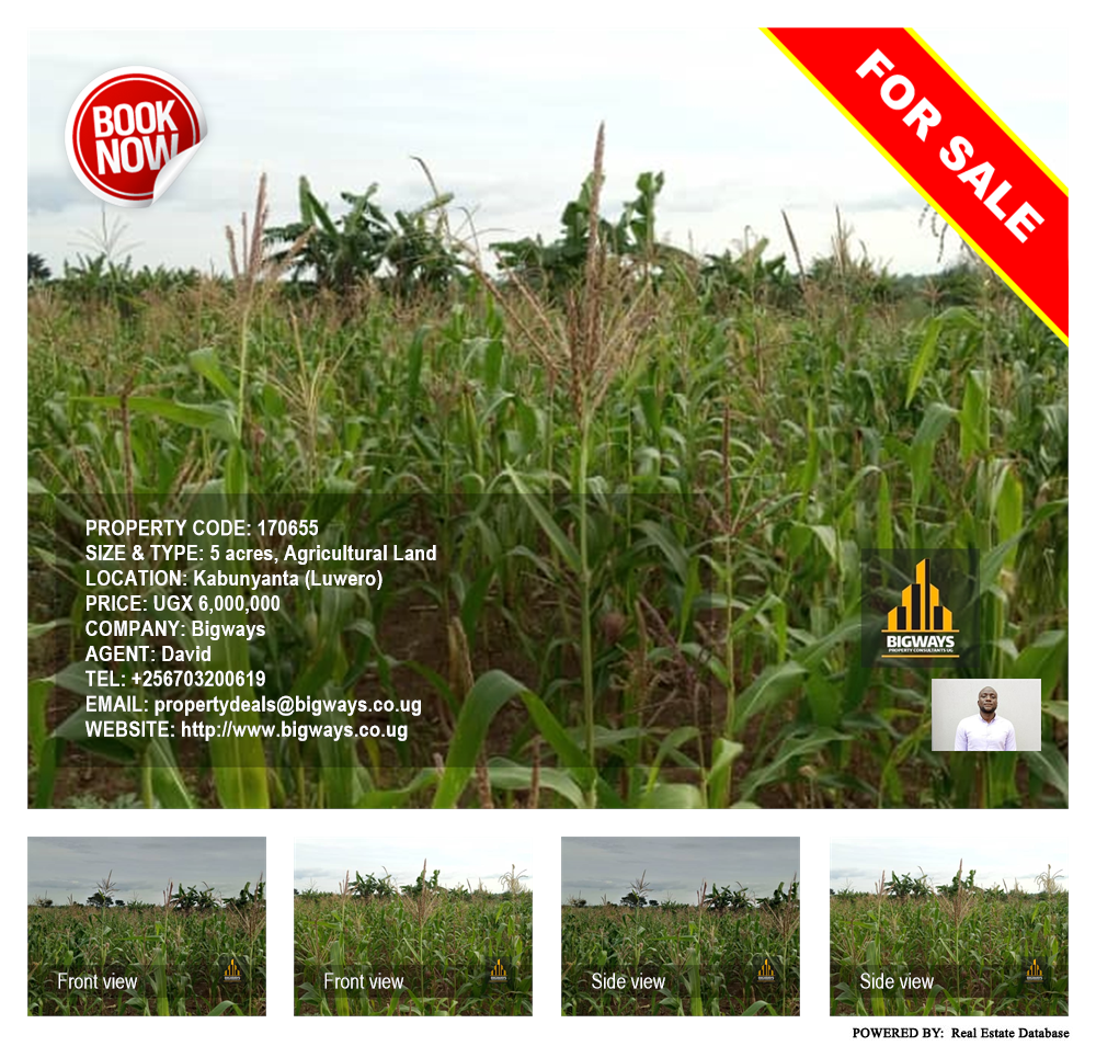 Agricultural Land  for sale in Kabunyanta Luweero Uganda, code: 170655