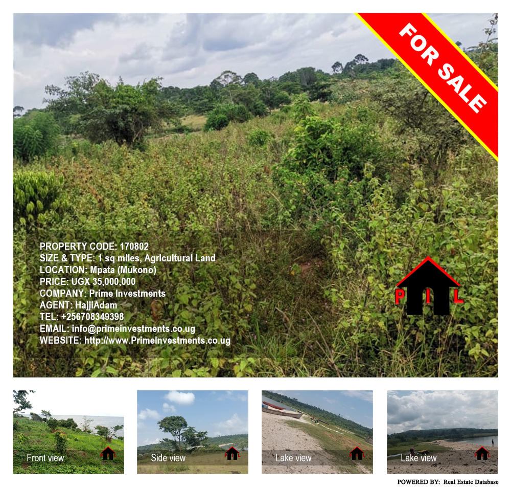 Agricultural Land  for sale in Mpata Mukono Uganda, code: 170802