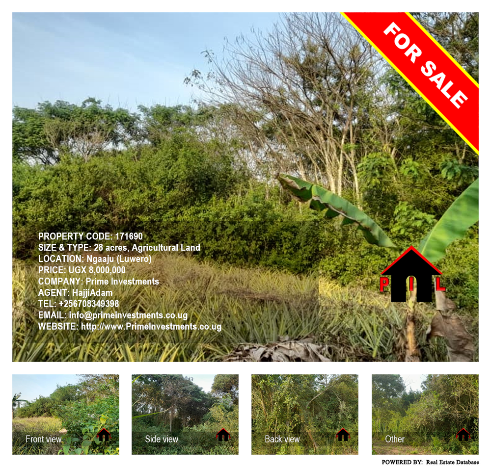 Agricultural Land  for sale in Ngaaju Luweero Uganda, code: 171690
