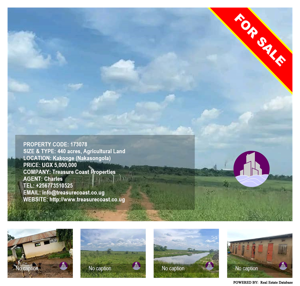 Agricultural Land  for sale in Kakooge Nakasongola Uganda, code: 173078
