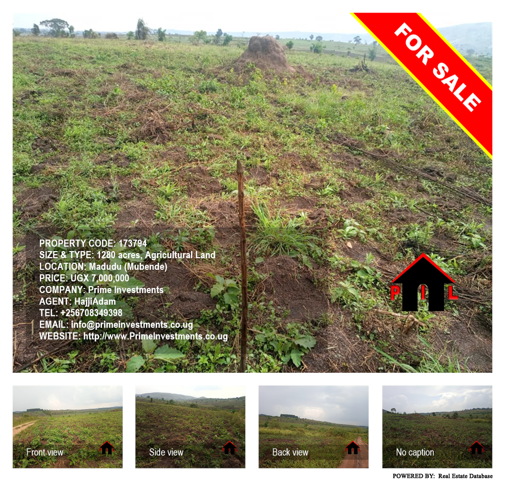 Agricultural Land  for sale in Madudu Mubende Uganda, code: 173794