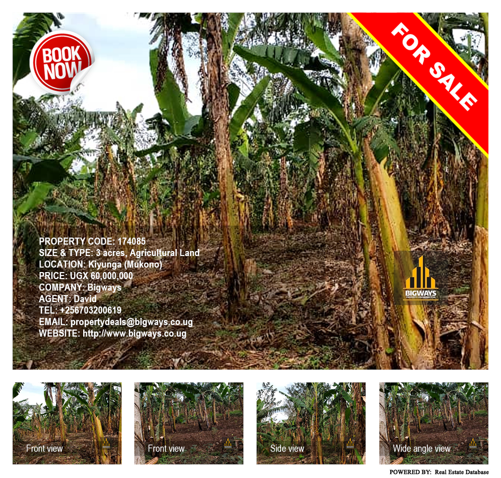 Agricultural Land  for sale in Kiyunga Mukono Uganda, code: 174085