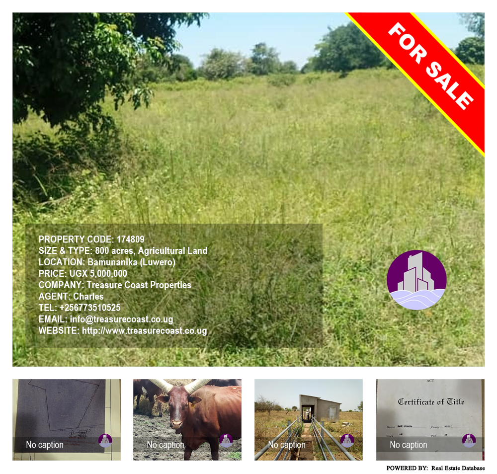 Agricultural Land  for sale in Bamunaanika Luweero Uganda, code: 174809