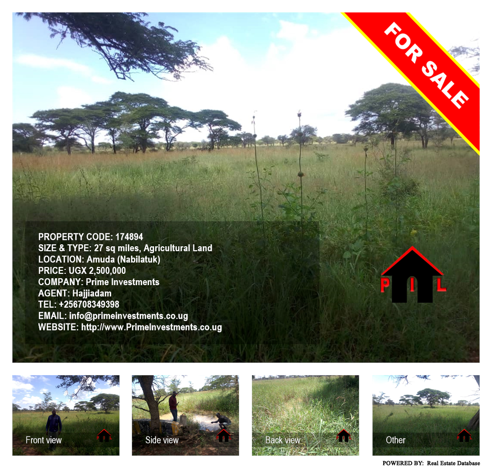 Agricultural Land  for sale in Amuda Nabilatuk Uganda, code: 174894