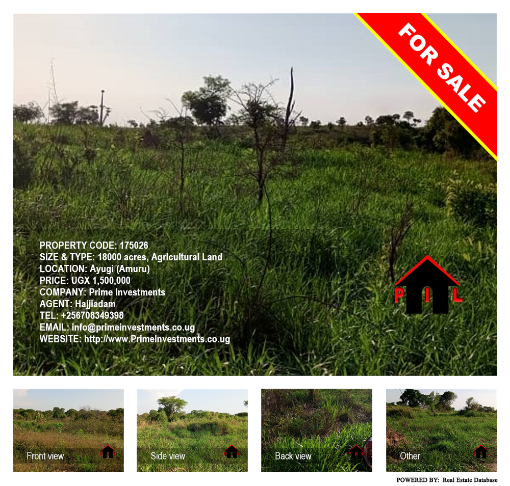 Agricultural Land  for sale in Ayugi Amuru Uganda, code: 175026