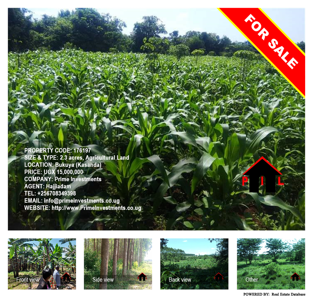 Agricultural Land  for sale in Bukuya Kasanda Uganda, code: 176197