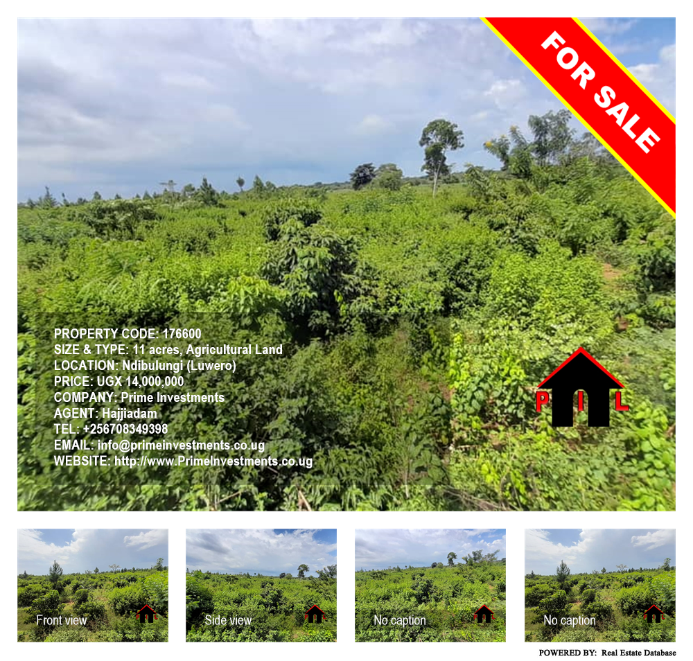 Agricultural Land  for sale in Ndibulungi Luweero Uganda, code: 176600