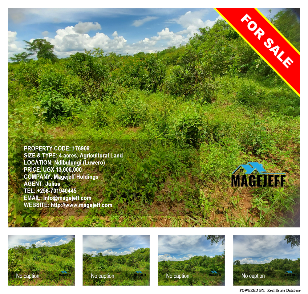 Agricultural Land  for sale in Ndibulungi Luweero Uganda, code: 176909